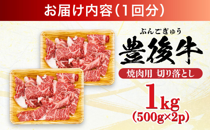 【全12回定期便】【訳あり】おおいた豊後牛 焼肉 切り落とし 1kg(500g×2P) 日田市 / 株式会社MEAT PLUS　牛 うし 黒毛和牛 和牛 豊後牛 [AREI136] 【全12回定期便】