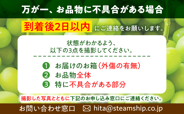 【先行予約・26年9月以降発送】日田産シャインマスカット 1房 約700g　至福のしずく ぶどう 日田市 / 松岡果樹園 [AREJ001]