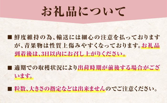 【先行予約・26年2月以降発送】　大分産ベリーツ(約250g×6パック)　日田市 / 南国フルーツ株式会社 [ARET011]
