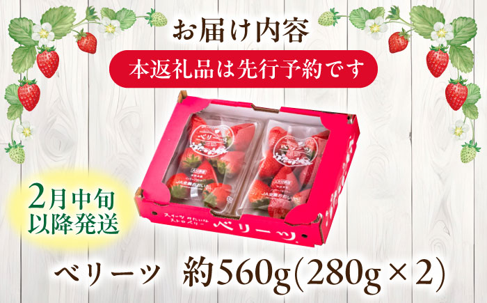 【先行予約・26年2月以降発送】 「ベリーツ」平大玉 約280g×2パック　日田市 / 株式会社スカイファーム [AREU001]