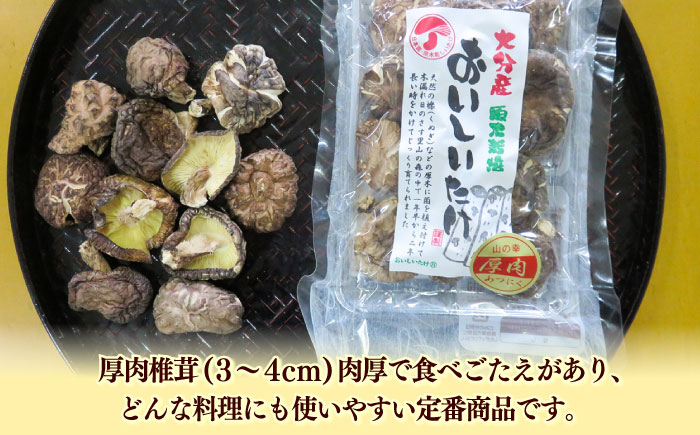 【最短1週間以内発送】嬉しい詰め合わせ3点セット！大分県産干し椎茸 日田市 / 高木商店 椎茸 どんこ しいたけ こうしん [AREX003]