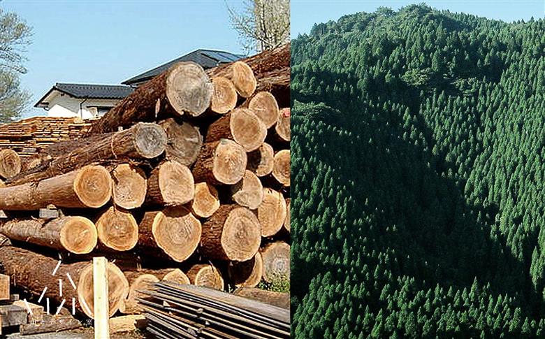 大切な1本のためのペンケース PenLog(ペンログ)　日田市 / 山とデザイン室　ペンケース 日田杉 筆箱 [AREZ002]