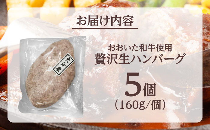 厳選「おおいた和牛」100%使用贅沢な生ハンバーグ(160g×5個)　日田市 / (株)吉野(デリカミート吉野) おおいた和牛 ハンバーグ 牛肉 [ARFE003]