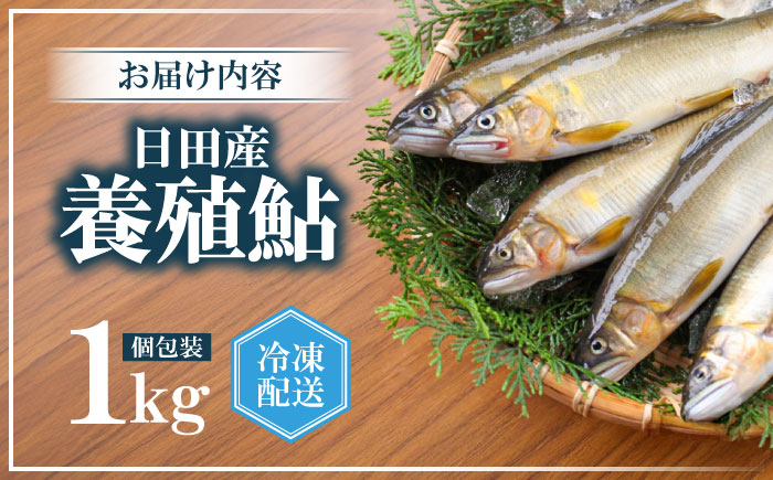 日田産養殖鮎(冷凍)1kg　日田市 / 日田漁業協同組合 魚 あゆ アユ [ARFJ003]
