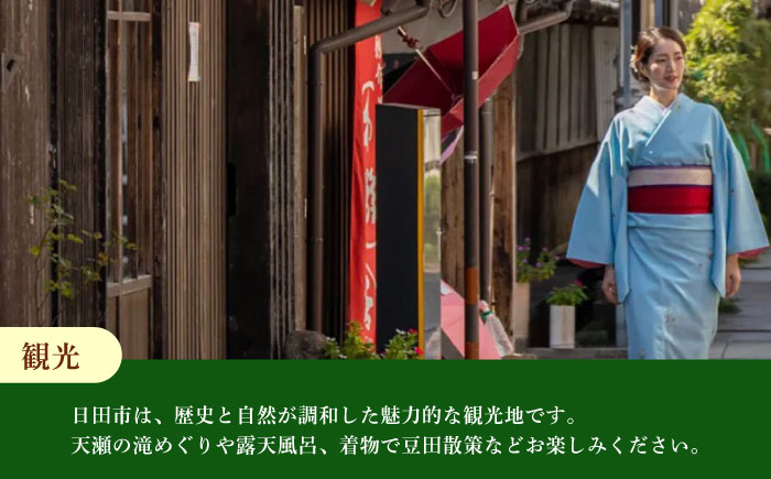 【日田を満喫体験】選べる！思い出に残る体験チケット補助券(3,000円分)　日田市 / 日田グリーンツーリズム花の木 トラベル 旅行 体験チケット [ARFM005]