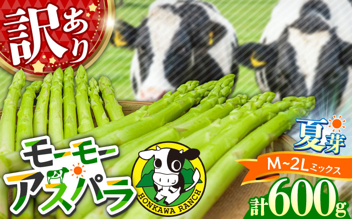 【訳あり/期間限定】モーモーアスパラ夏芽 2L～M 600g 味に全く問題なし！安く手頃に！3種食べ比べ 600g アスパラガス 日田市 / 有限会社本川牧場 [ARAI034]