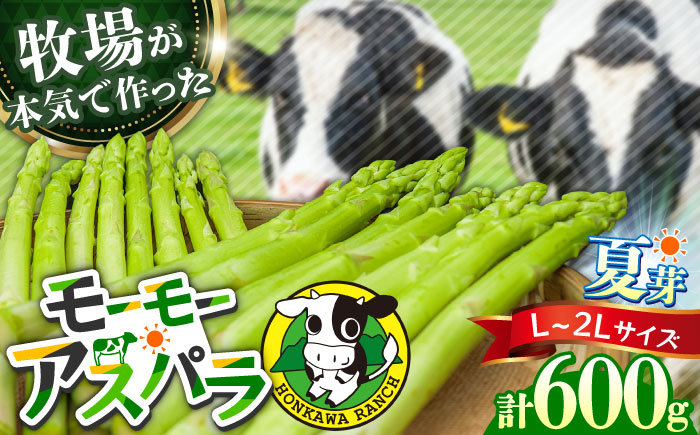 【期間限定】モーモーアスパラ夏芽 2L・L  600g 迷ったらこれ！ちょうどいい太さ2種セット 600g 日田市 / 有限会社本川牧場 [ARAI036]
