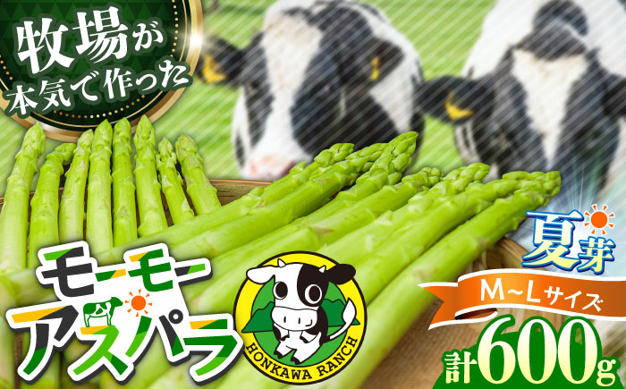 【期間限定】モーモーアスパラ夏芽 L・M 600g 食べやすい太さの2種セット 600g 日田市 / 有限会社本川牧場 [ARAI037]