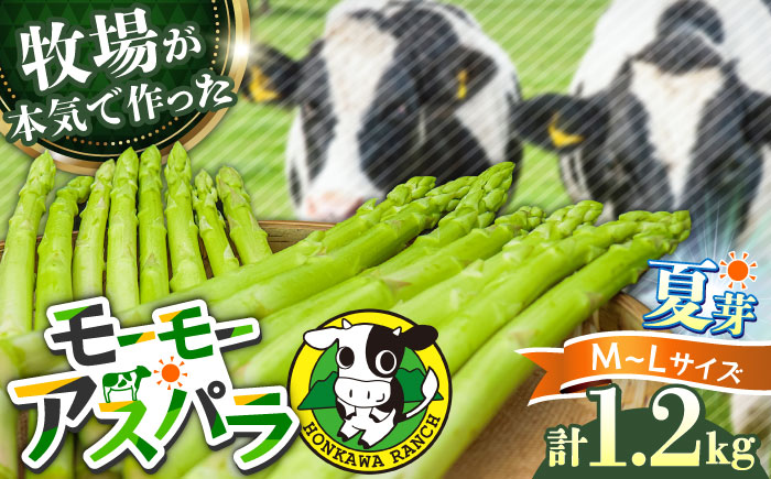 【期間限定】モーモーアスパラ夏芽 L・M 1.2kg 食べやすい太さの2種セット 1.2kg 日田市 / 有限会社本川牧場 [ARAI038]