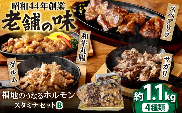 スタミナセットB 4種類　（豚スペアリブ・和牛丸腸・豚サガリ・豚ダルム）計1,130g 日田市 / 福地のうなるホルモン [ARAY002]