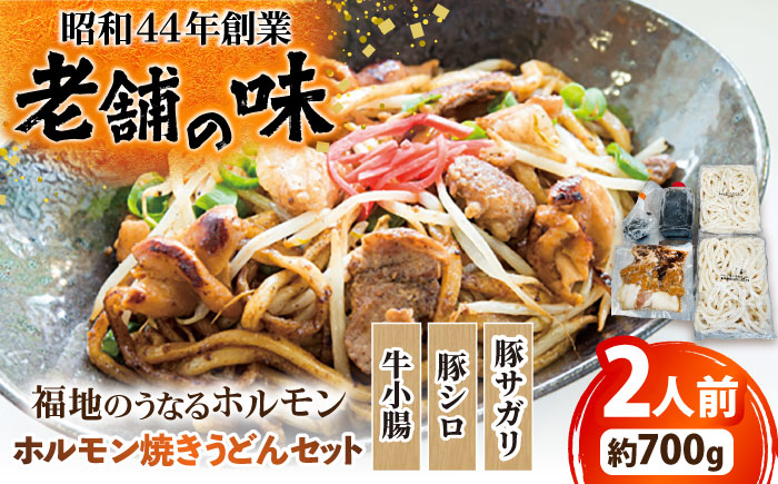 ホルモン焼きうどんセット 700g 日田市 / 福地のうなるホルモン [ARAY004]
