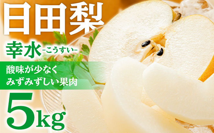 【先行予約・26年8月以降発送】日田梨 幸水 5kg 梨 日田市 / 日田梨協同組合 [ARBB001]