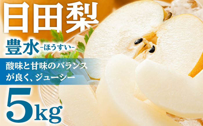【先行予約・26年8月以降発送】日田梨 豊水 5kg 梨 日田市 / 日田梨協同組合 [ARBB002]