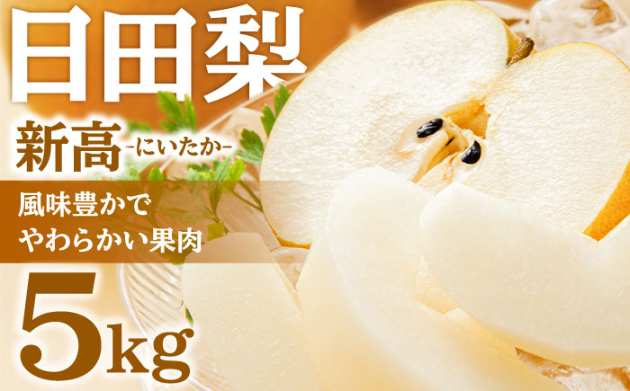 【先行予約・26年9月以降発送】日田梨 新高 5kg 梨 日田市 / 日田梨協同組合 [ARBB004]