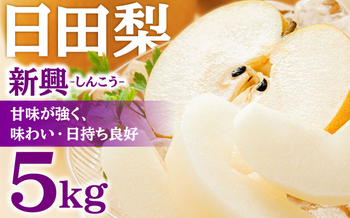 【先行予約・25年10月以降発送】日田梨 新興 5kg 梨 日田市 / 日田梨協同組合 [ARBB005]