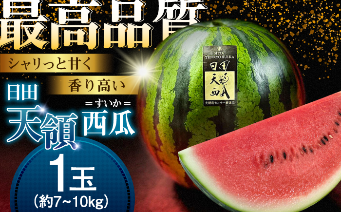 【先行予約・26年6月以降発送】日田天領 西瓜 1玉 約7kg～10kg 100サイズ スイカ 日田市 / 日田天領西瓜部会 【配送不可地域：北海道・沖縄・離島】[ARBD001]