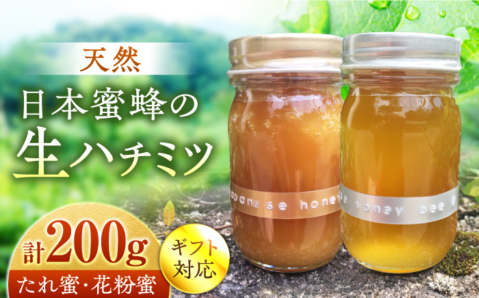 超希少【天然】日本蜜蜂の生はちみつ たれ蜜・花粉蜜 計200g ハニーディッパー付き　【食べチョクアワード2023 3位入賞】　 はちみつ 日田市/総合環境計画研究所 the honey shop [ARBN001]