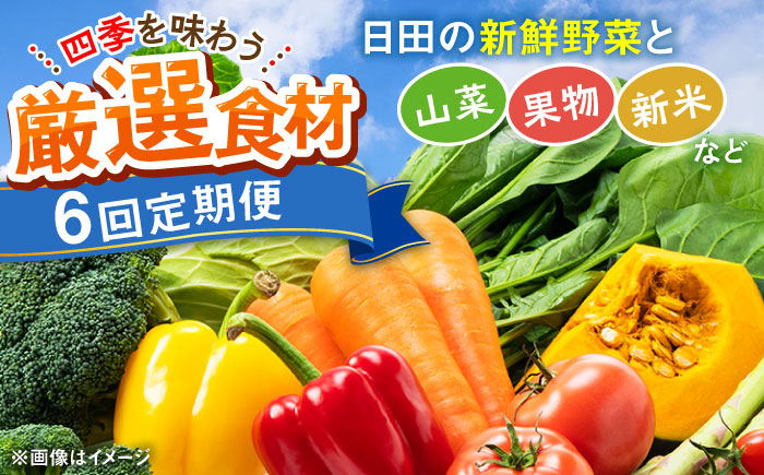 【全6回定期便】農家セレクト！特別栽培 日田の厳選食材 詰め合わせ 日田市 / 自然工房Mori 野菜 果物 米 産地直送 新鮮 セット [ARBR003]