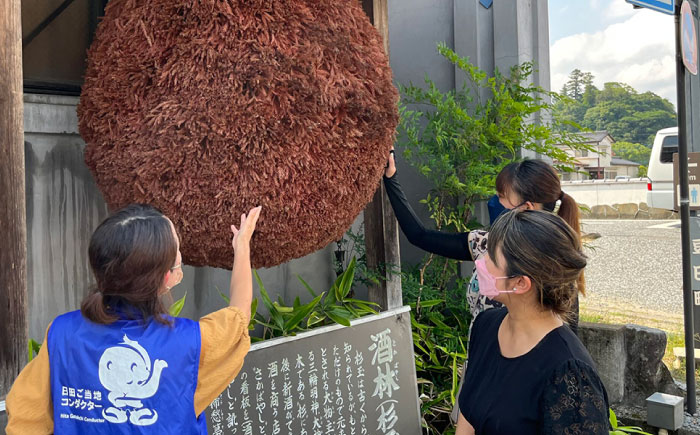 【ご当地お土産付き】豆田町散策ガイドツアー2名分　日田市 / こだわり大分 観光ツアー レトロ 大分県 [ARBT003]