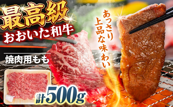 おおいた和牛 もも焼肉用 500g 　日田市 / 株式会社まるひで　和牛 BBQ 国産ブランド牛 [ARCG011]