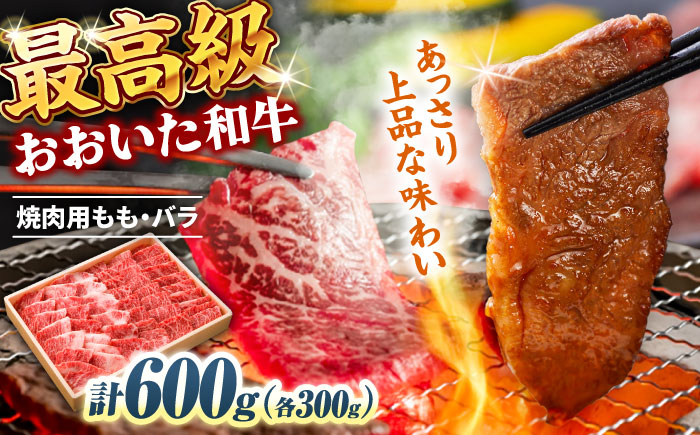 おおいた和牛 もも・バラ焼肉セット 600g(各300g) 　日田市 / 株式会社まるひで　和牛 BBQ 国産ブランド牛 [ARCG013]