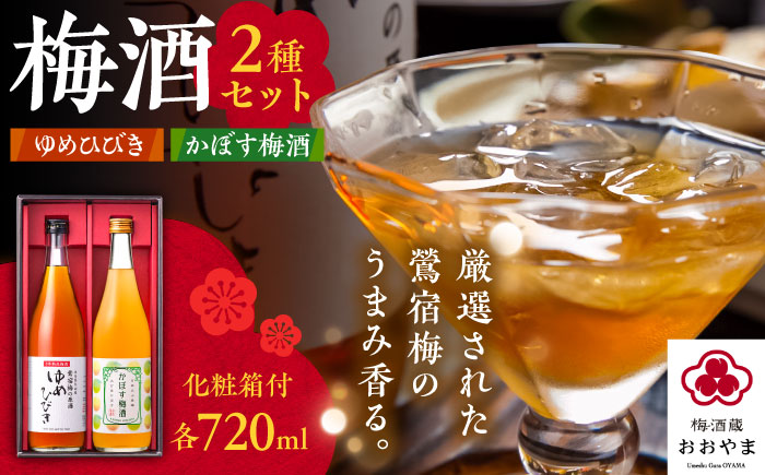 梅酒蔵おおやま 梅酒セット(梅酒・かぼす梅酒) 各720ml　日田市 / 株式会社おおやま夢工房 梅酒 梅 ウメ [ARCW013]