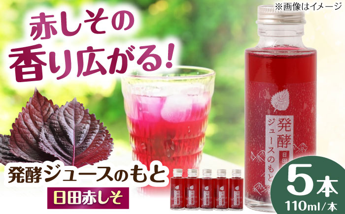 【お歳暮対象】発酵ジュースのもと〈日田赤しそ〉 110ml×5本 ジュース 日田市 / 株式会社インパクト [ARDA003]
