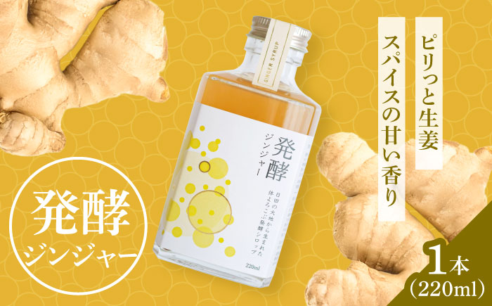 【お歳暮対象】ピリっと生姜にスパイスの甘い香り！身体にも心にも優しい発酵ジンジャーシロップ！発酵ジンジャー（1本） 日田市/株式会社インパクト スパイス 炭酸 シロップ [ARDA008]