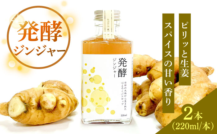 【お歳暮対象】ピリっと生姜にスパイスの甘い香り！身体にも心にも優しい発酵ジンジャーシロップ！発酵ジンジャー（2本セット） 日田市/株式会社インパクト スパイス 炭酸 シロップ [ARDA010]