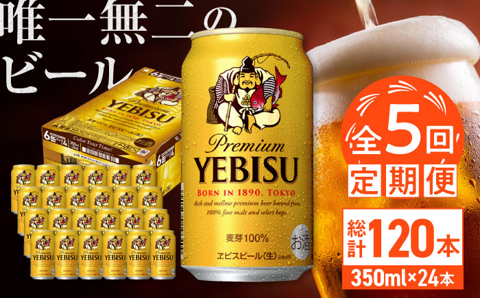 【全5回定期便】サッポロ ヱビスビール 350ml×24缶　合計120缶 日田市 / 株式会社綾部商店 [ARDC001] 【全5回定期便】