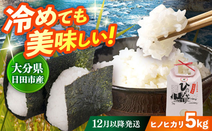 令和7年産大分県産ヒノヒカリ 5kg　日田市 / JAおおいた日田グリーンセンター こめ コメ 米 [ARDX006] 25年12月以降発送