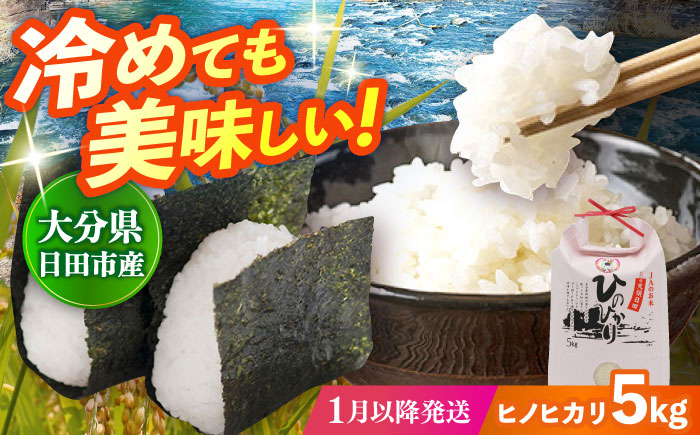 【先行予約・26年1月以降発送】令和7年産大分県産ヒノヒカリ 5kg　日田市 / JAおおいた日田グリーンセンター こめ コメ 米 [ARDX007] 26年1月以降発送