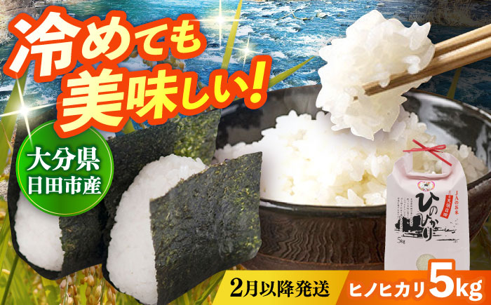 【先行予約・26年2月以降発送】令和7年産大分県産ヒノヒカリ 5kg　日田市 / JAおおいた日田グリーンセンター こめ コメ 米 [ARDX008] 26年2月以降発送