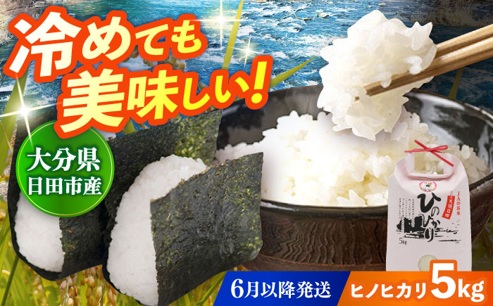 【先行予約・26年6月以降発送】令和7年産大分県産ヒノヒカリ 5kg　日田市 / JAおおいた日田グリーンセンター こめ コメ 米 [ARDX012]