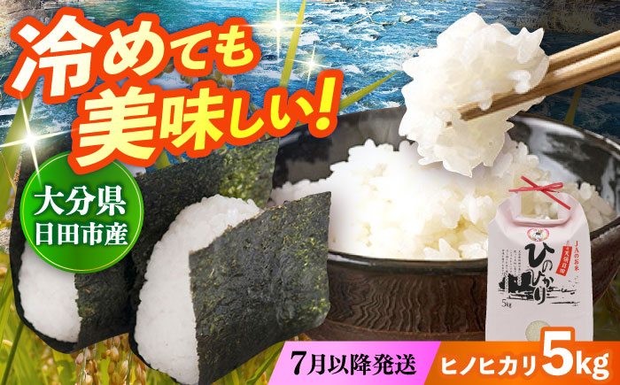 【先行予約・26年7月以降発送】令和7年産大分県産ヒノヒカリ 5kg　日田市 / JAおおいた日田グリーンセンター こめ コメ 米 [ARDX013]