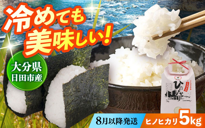 【先行予約・26年8月以降発送】令和7年産大分県産ヒノヒカリ 5kg　日田市 / JAおおいた日田グリーンセンター こめ コメ 米 [ARDX014]