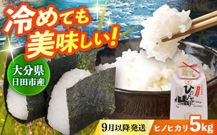 【先行予約・26年9月以降発送】令和7年産大分県産ヒノヒカリ 5kg　日田市 / JAおおいた日田グリーンセンター こめ コメ 米 [ARDX015]