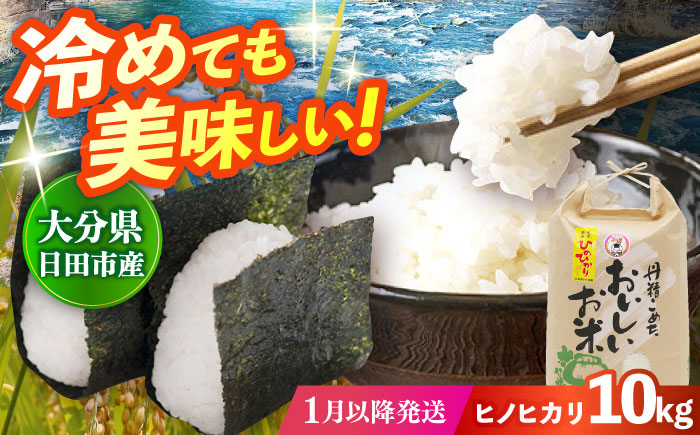 【先行予約・26年1月以降発送】令和7年産大分県産ヒノヒカリ  10kg　日田市 / JAおおいた日田グリーンセンター こめ コメ 米 [ARDX017] 26年1月以降発送