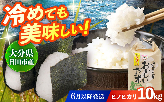 【先行予約・26年6月以降発送】令和7年産大分県産ヒノヒカリ  10kg　日田市 / JAおおいた日田グリーンセンター こめ コメ 米 [ARDX022]