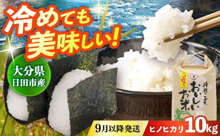 【先行予約・26年9月以降発送】令和7年産大分県産ヒノヒカリ  10kg　日田市 / JAおおいた日田グリーンセンター こめ コメ 米 [ARDX025]
