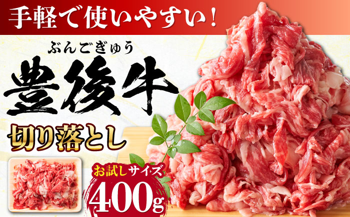 【お試しにピッタリ！】 おおいた豊後牛 牛肉 切り落とし 400g 日田市 / 株式会社MEAT PLUS　肉 牛肉 和牛 [AREI001] 【単品】単品400g