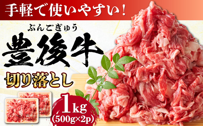【小分けで便利！】おおいた豊後牛 牛肉 切り落とし 1kg (500g×2)  日田市 / 株式会社MEAT PLUS　肉 牛肉 和牛 [AREI003] 【単品】1kg(500g×2)