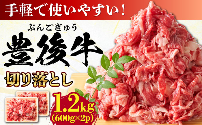 【大容量パック！】 おおいた豊後牛 牛肉 切り落とし 1.2kg (600g×2) 日田市 / 株式会社MEAT PLUS　肉 牛肉 和牛 [AREI004] 【単品】1.2kg(600g×2)