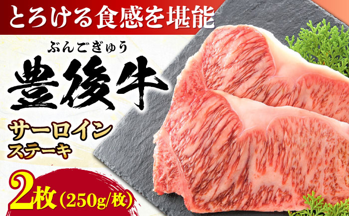 おおいた豊後牛 サーロインステーキ 500g (250g×2枚) サーロイン 日田市 / 株式会社MEAT PLUS　肉 牛肉 和牛 [AREI007] 【単品】500g(250g×2枚)