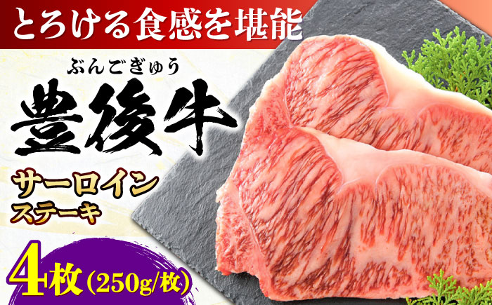 おおいた豊後牛 サーロインステーキ 1kg (250g×4枚) 日田市 / 株式会社MEAT PLUS　肉 牛肉 和牛 [AREI008] 【単品】1kg(250g×4枚)