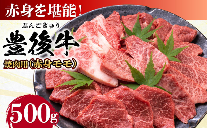 おおいた豊後牛 赤身モモ 焼肉用 500g 焼肉 日田市 / 株式会社MEAT PLUS　牛 うし 黒毛和牛 和牛 豊後牛 [AREI019] 【単品】500g