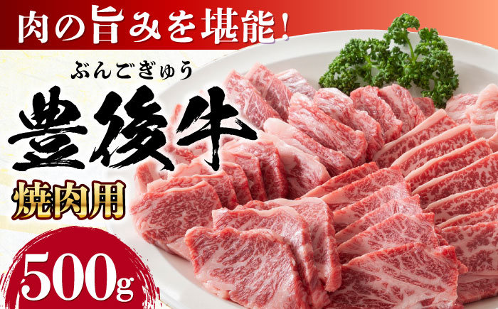 おおいた豊後牛 焼肉用 500g 焼肉 日田市 / 株式会社MEAT PLUS　牛 うし 黒毛和牛 和牛 豊後牛 [AREI021] 【単品】500g
