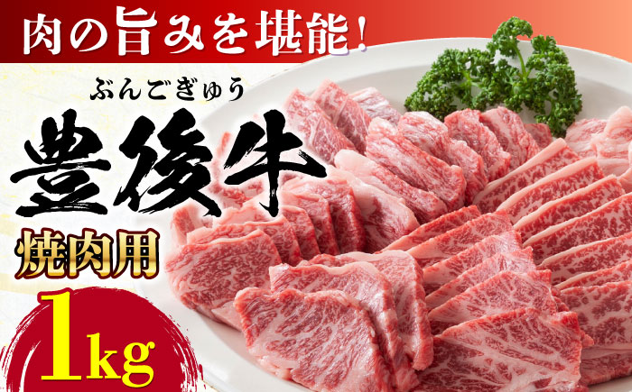 おおいた豊後牛 焼肉用 1kg(500g×2P) 日田市 / 株式会社MEAT PLUS　牛 うし 黒毛和牛 和牛 豊後牛 [AREI022] 【単品】1kg(500g×2)