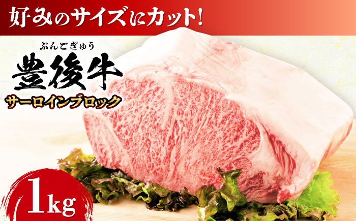 【厳選部位】おおいた豊後牛 サーロイン ブロック 1kg サーロイン 日田市 / 株式会社MEAT PLUS　牛 うし 黒毛和牛 和牛 豊後牛 [AREI023] 【単品】1kg