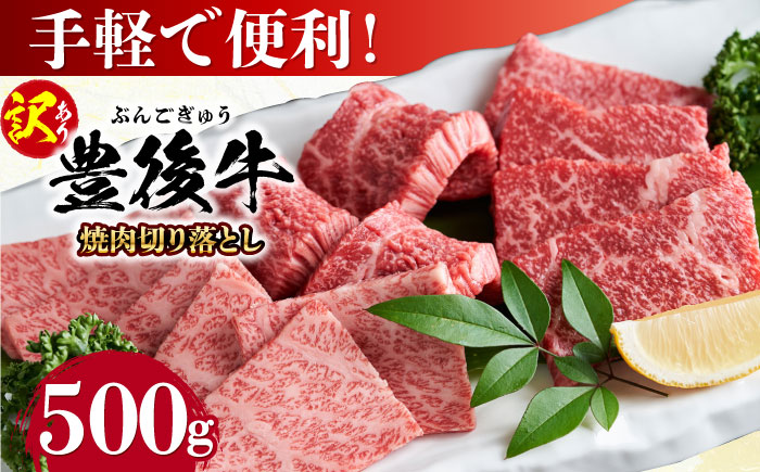 【訳あり】おおいた豊後牛 焼肉 切り落とし 500g 切り落とし 日田市 / 株式会社MEAT PLUS　牛 うし 黒毛和牛 和牛 豊後牛 [AREI032] 【単品】500g